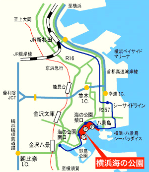 海の公園