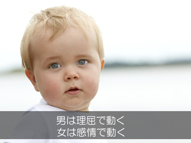 ３．男は理屈で動く／女は感情で動く