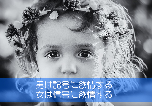 １３．男は記号に欲情する／女は信号に欲情する