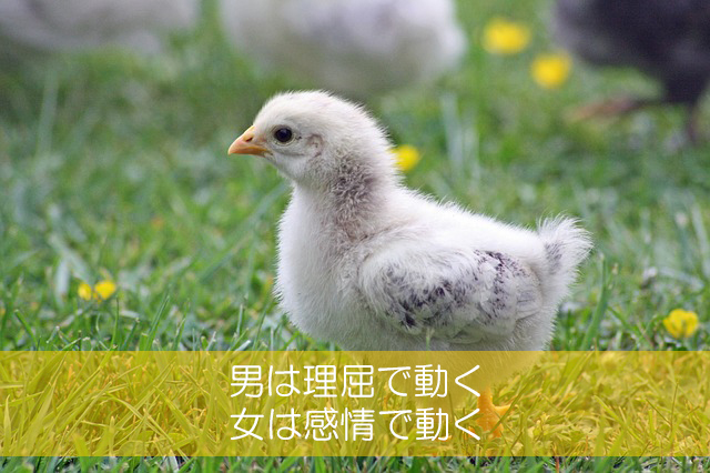 ワイン会のための男女の心理学　テクニック編