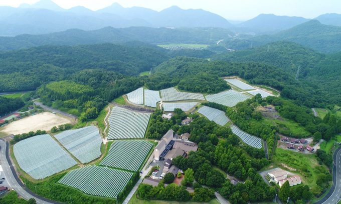 安心院葡萄酒工房
