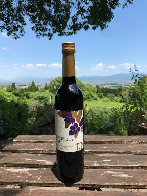 ブルーベリーワイン