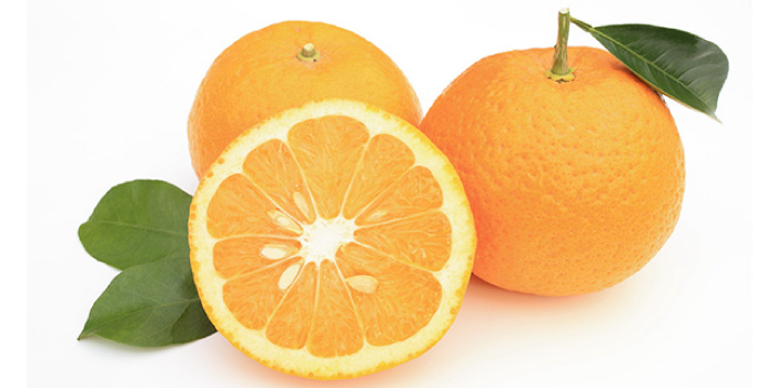 甘夏ワイン