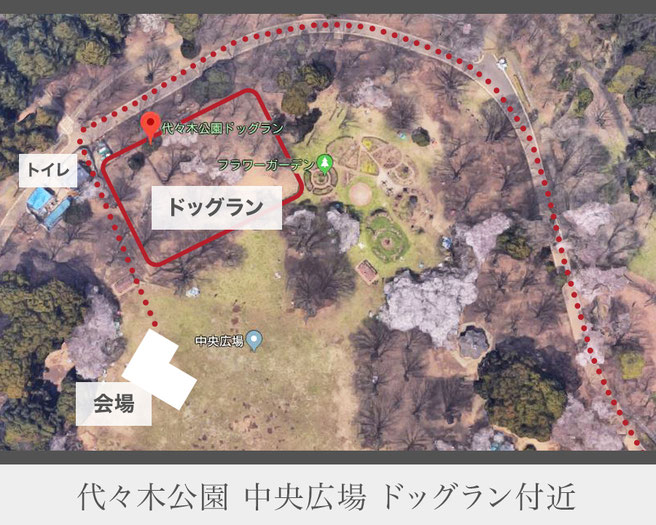 代々木公園