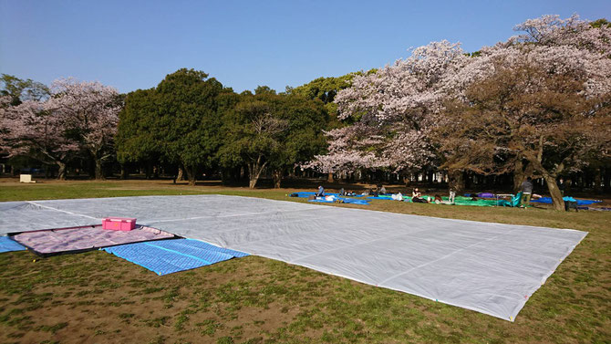 花見会