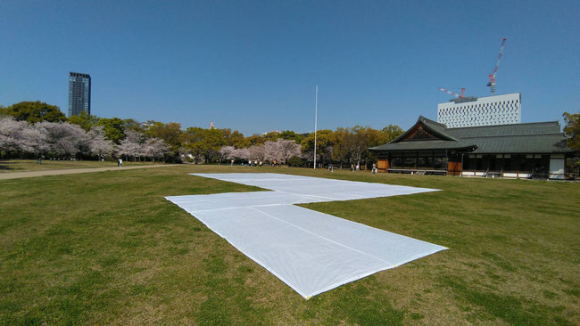 花見会