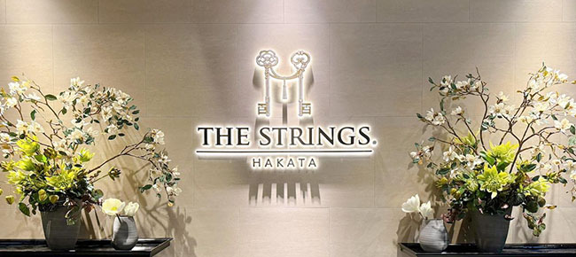 THE STRINGS 博多