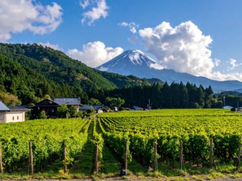 山梨県