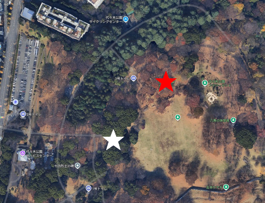代々木公園